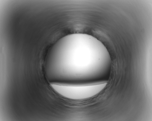 X0000088730225200705311121