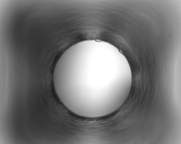 X0000088730228200705311121
