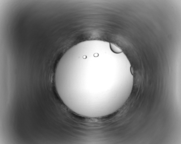 X0000088730230200705311121