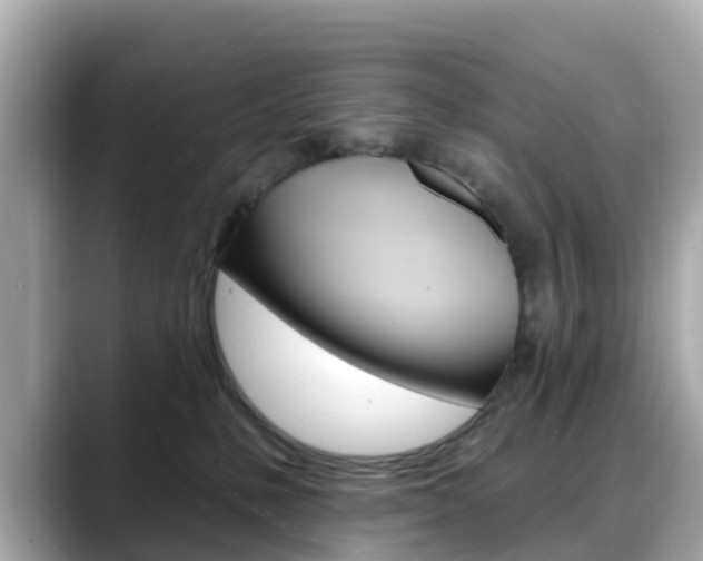 X0000088730231200705311121