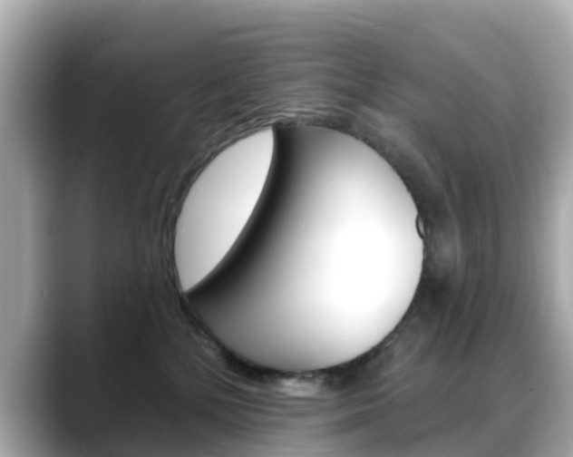 X0000088730232200705311121