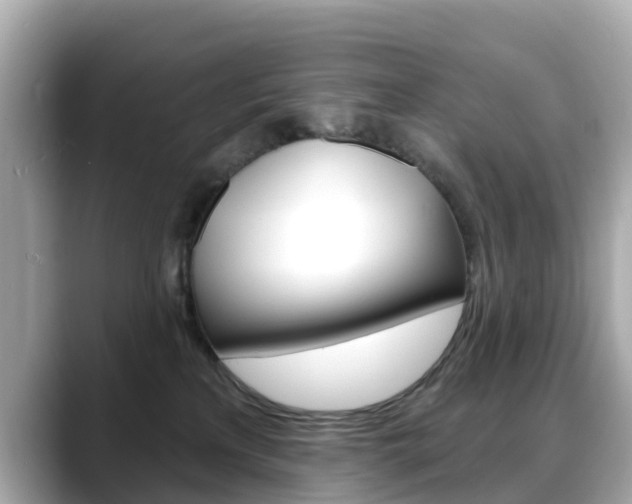 X0000088730233200705311121