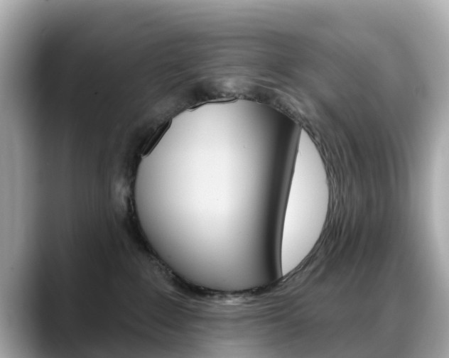 X0000088730235200705311121