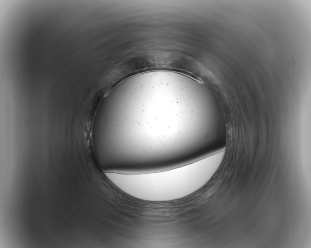 X0000088730237200705311121