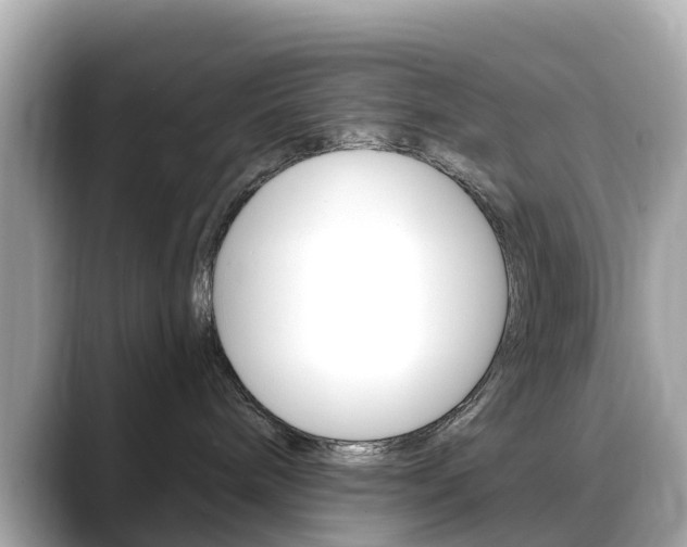X0000088730240200705311121