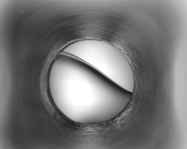 X0000088730241200705311121