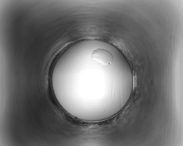 X0000088730243200705311121