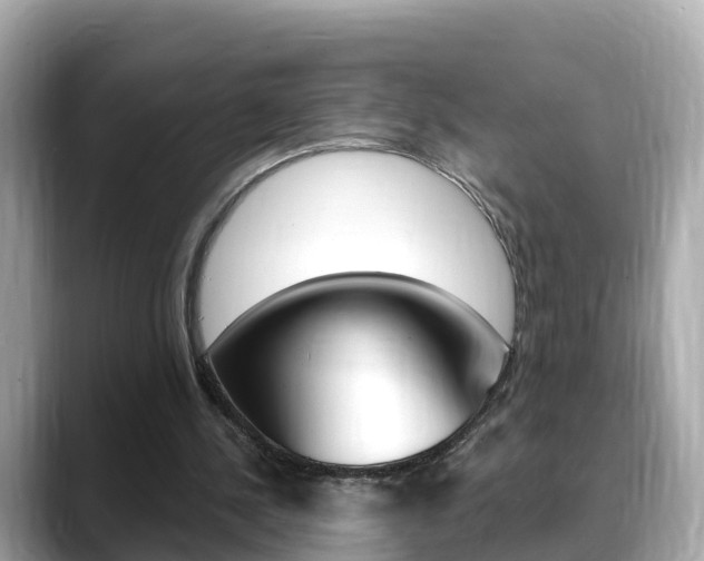X0000088730244200705311121