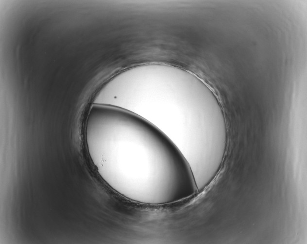 X0000088730245200705311121