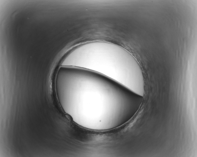 X0000088730246200705311121