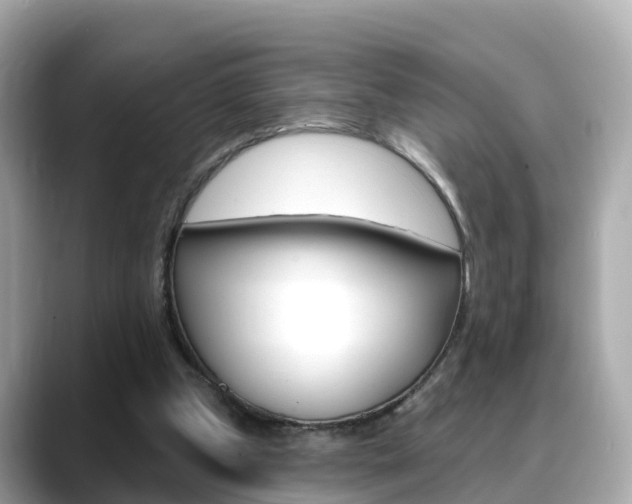 X0000088730249200705311121