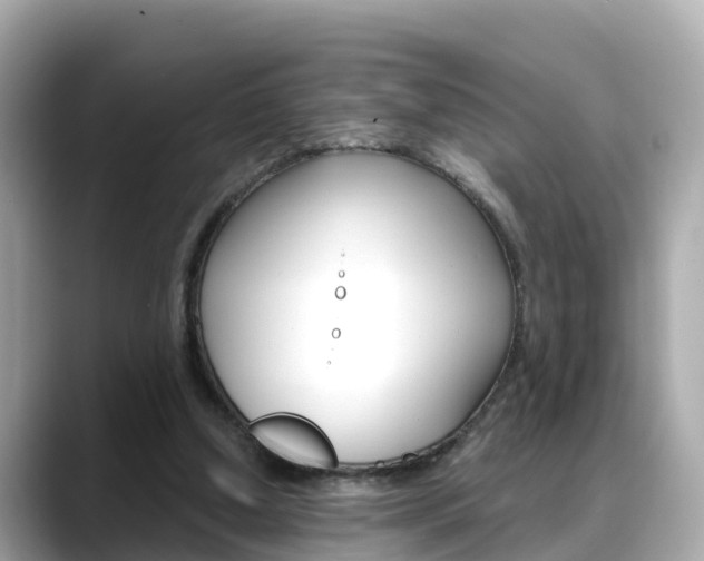 X0000088730250200705311121
