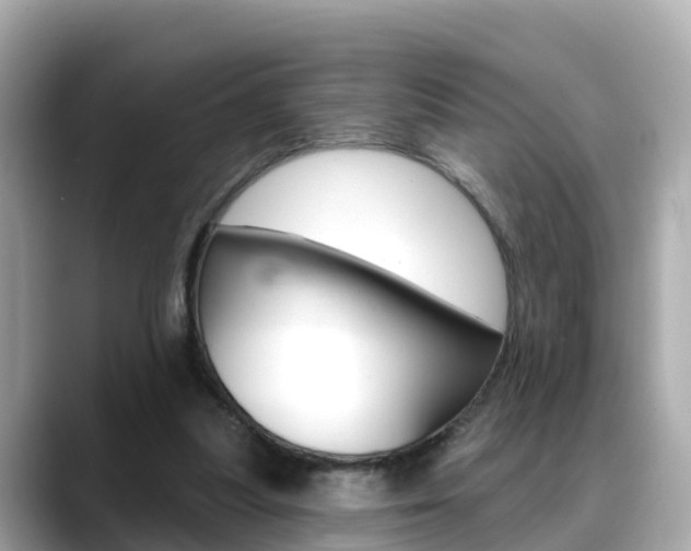 X0000088730251200705311121