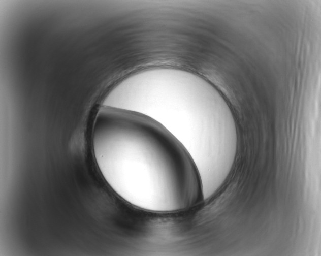 X0000088730252200705311121