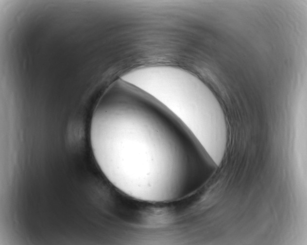 X0000088730260200705311121