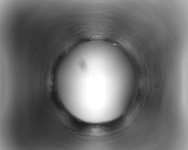 X0000088730264200705311121