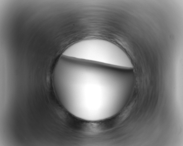 X0000088730265200705311121
