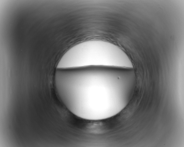 X0000088730274200705311121