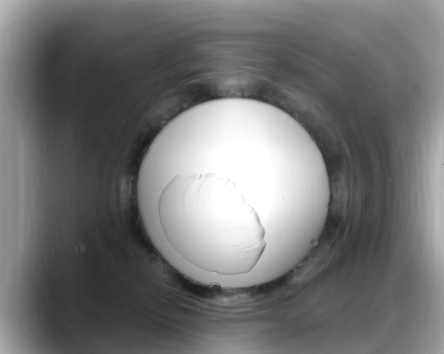 X0000088730278200705311121