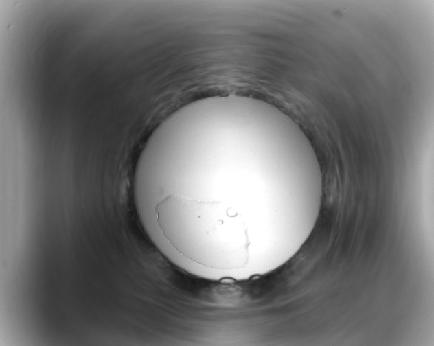 X0000088730279200705311121