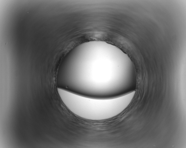 X0000088730284200705311121