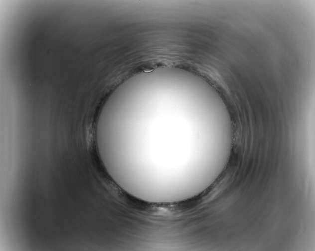 X0000088730285200705311121