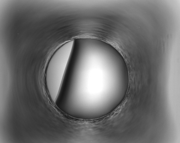 X0000088730289200705311121