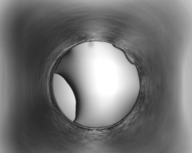X0000088730290200705311121