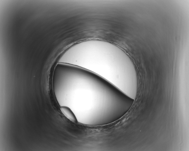 X0000088730291200705311121
