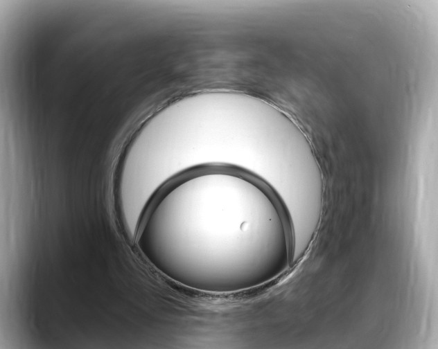 X0000088730293200705311121