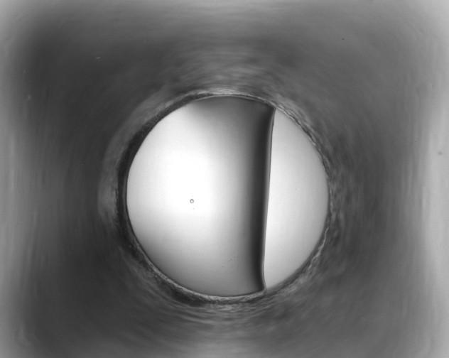 X0000088730295200705311121