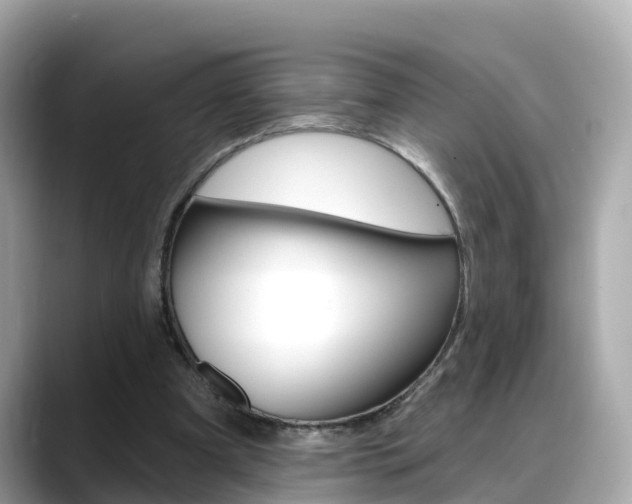X0000088730297200705311121