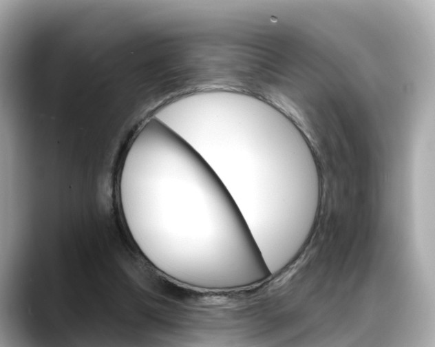 X0000088730298200705311121