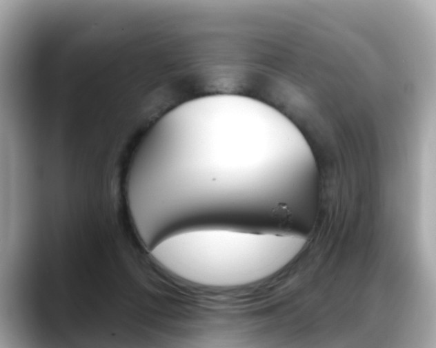 X0000088730312200705311120