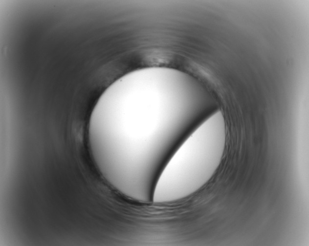 X0000088730315200705311120