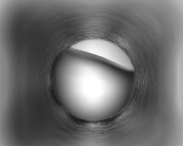 X0000088730317200705311120