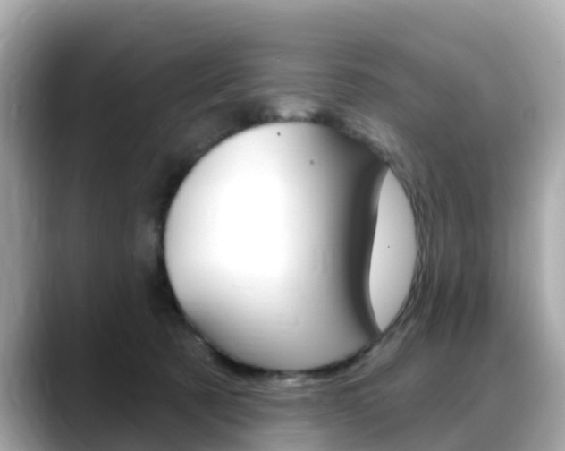 X0000088730321200705311120