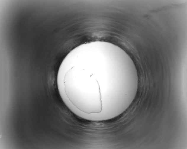 X0000088730328200705311120