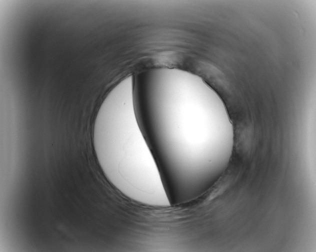 X0000088730329200705311120