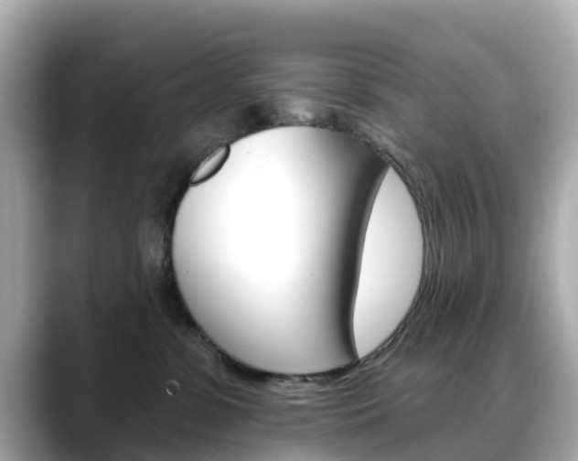 X0000088730331200705311120
