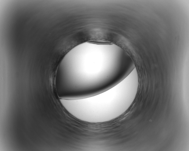 X0000088730333200705311120