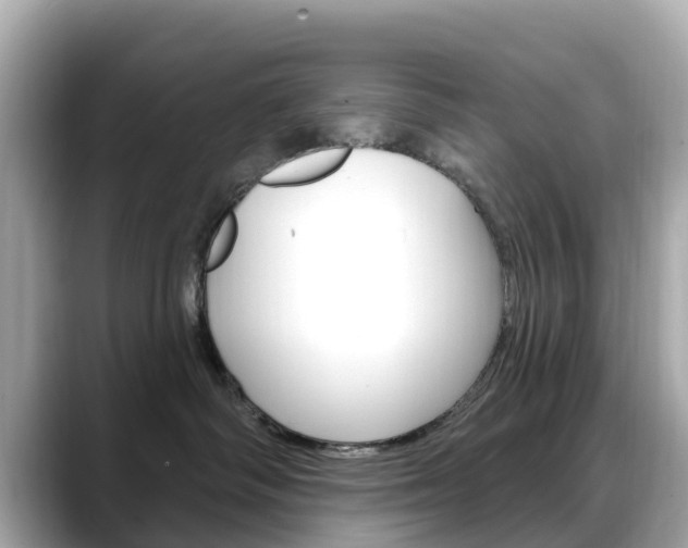 X0000088730334200705311120