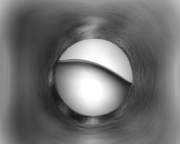 X0000088730335200705311120