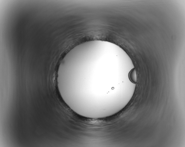 X0000088730336200705311120
