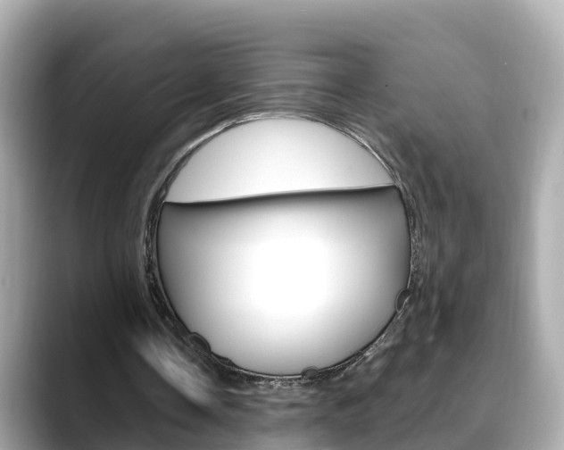 X0000088730338200705311119
