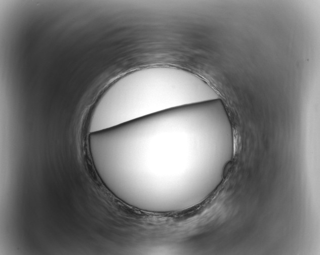 X0000088730339200705311119