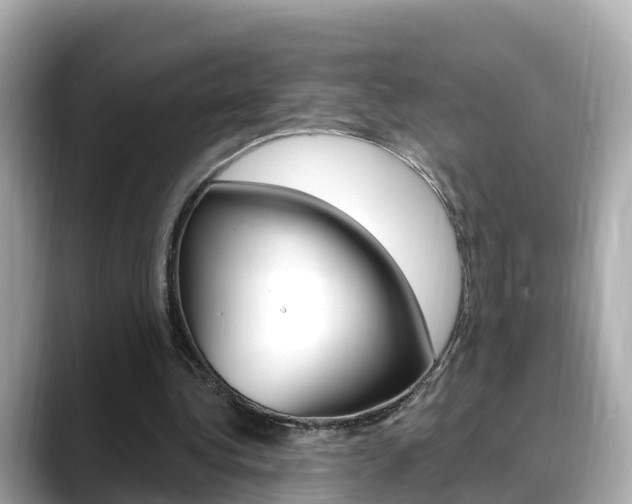 X0000088730340200705311119