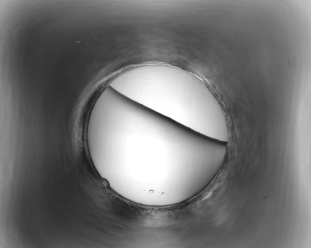 X0000088730343200705311120