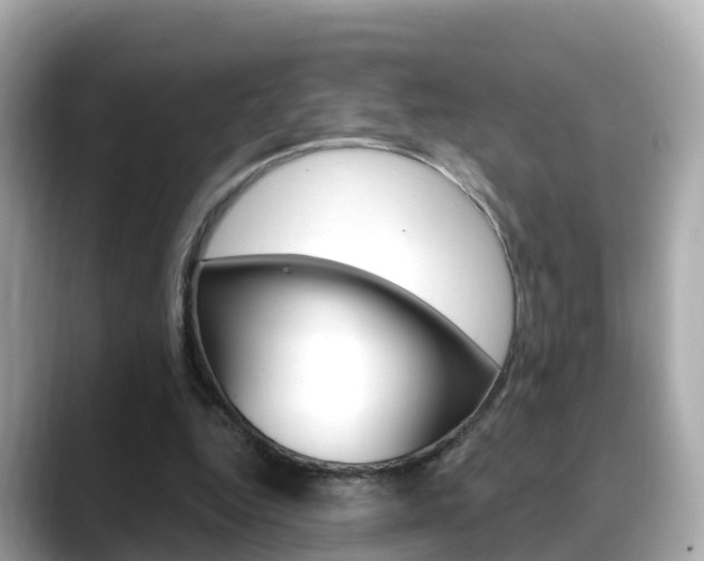 X0000088730344200705311120