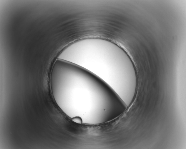 X0000088730345200705311120